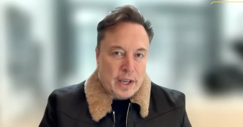 Musk Insults Interviewer for Daring to Ask About His Big DOGE Promise