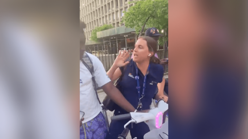 NYC ‘Citi Bike Karen’ Raises Nearly $90K on GoFundMe  Flipboard