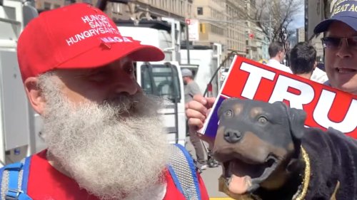 Triumph the Insult Comic Dog Crashes the Trump Trial Circus