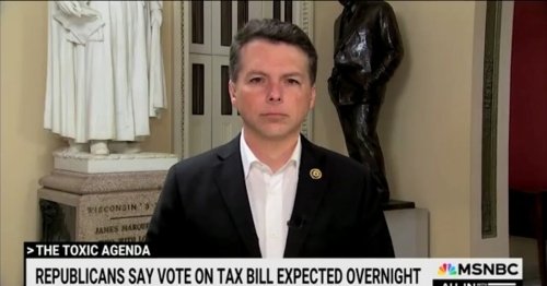 Lawmaker Says Trump Is ‘Literally Yelling’ at Republicans to Make Them Fall in Line