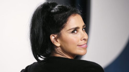 Sarah Silverman Sues ChatGPT Creator, Meta For Copyright Infringement ...