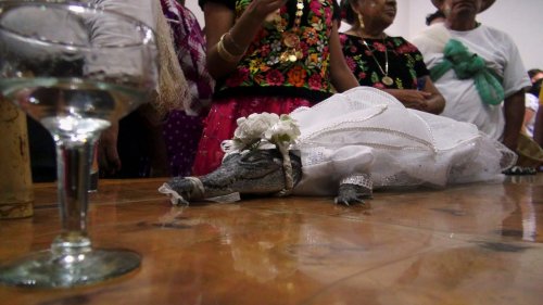Mexican Mayor Marries Alligator Dressed in Bridal Gown in Ancient Ritual