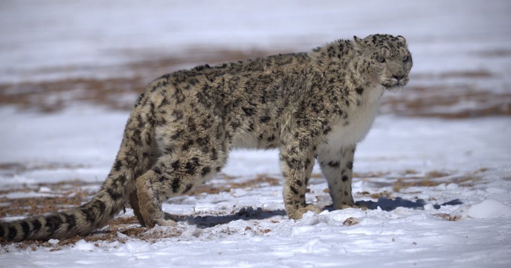 Latest Stories - cover