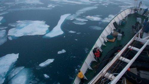 Elderly Couple Wins Lawsuit After Arctic Cruise Was Canceled Over the Cold
