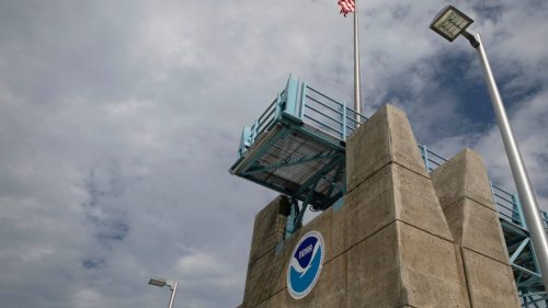 Top NOAA Scientist Fired After Asking Trump Appointees to Acknowledge Agency Scientific Integrity Policy
