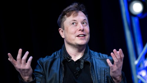 Elon Musk Reportedly Implants Pig Brains Successfully With New Tech, Plans for Humans Next