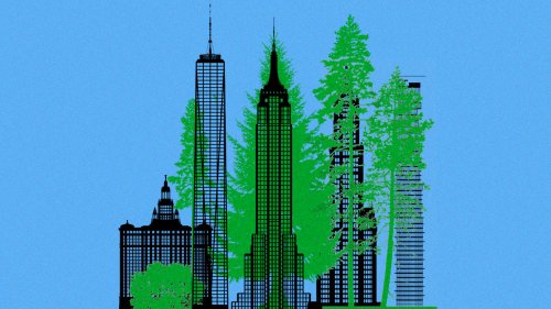 Cities and Buildings Need to Start Acting More Like Trees