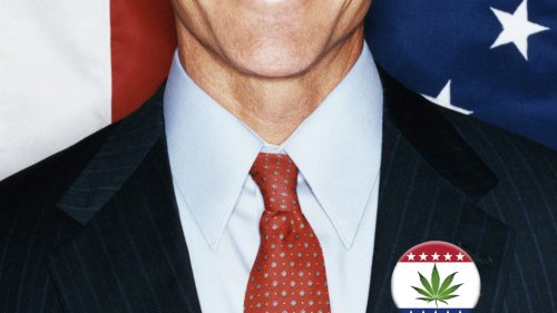 The New Politics of Pot: The 2014 Candidates Who Want to Legalize It