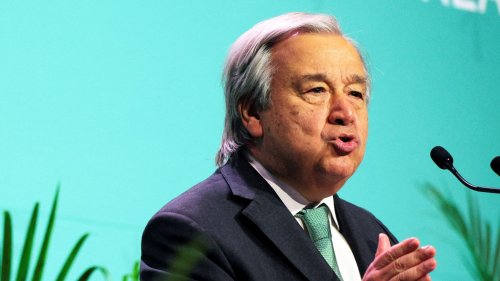UN Boss Calls Humanity a ‘Weapon of Mass Extinction’ at COP15 Summit