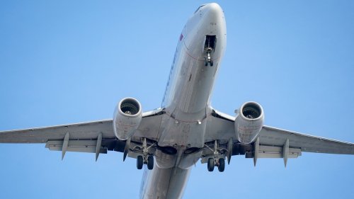 Mom of 2 Dies on American Airlines Flight Despite Island Diversion