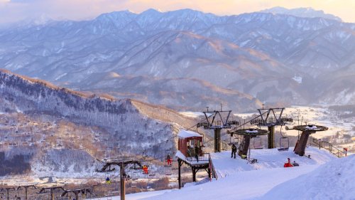 U.S. Champion Skier Dies in Avalanche in Japan