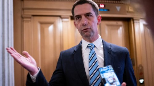Tom Cotton Doubles Down on Calls for Mob Violence Against Protesters