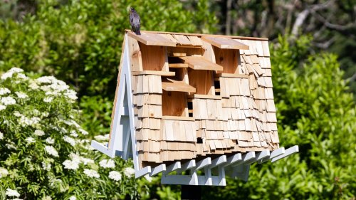 These Are the Most Mind-Blowing Birdhouses You’ve Ever Seen