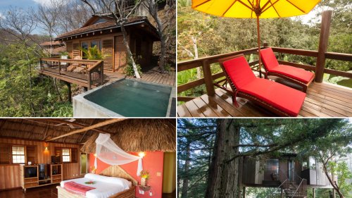 Sleep Like a Monkey: Nine Highflying Tree House Hotels (Photos)