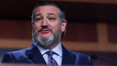 New Audio Shows Ted Cruz Scheming to Steal 2020 Election
