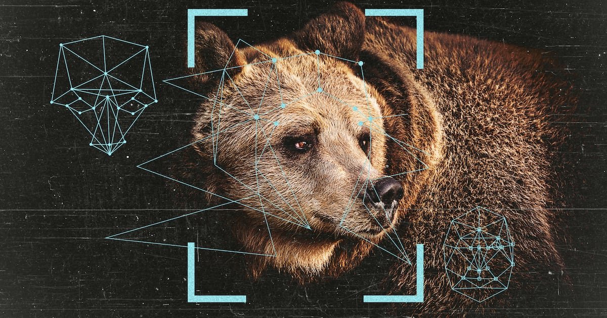 Facial Recognition May Help Save Fat Bears From Human Danger