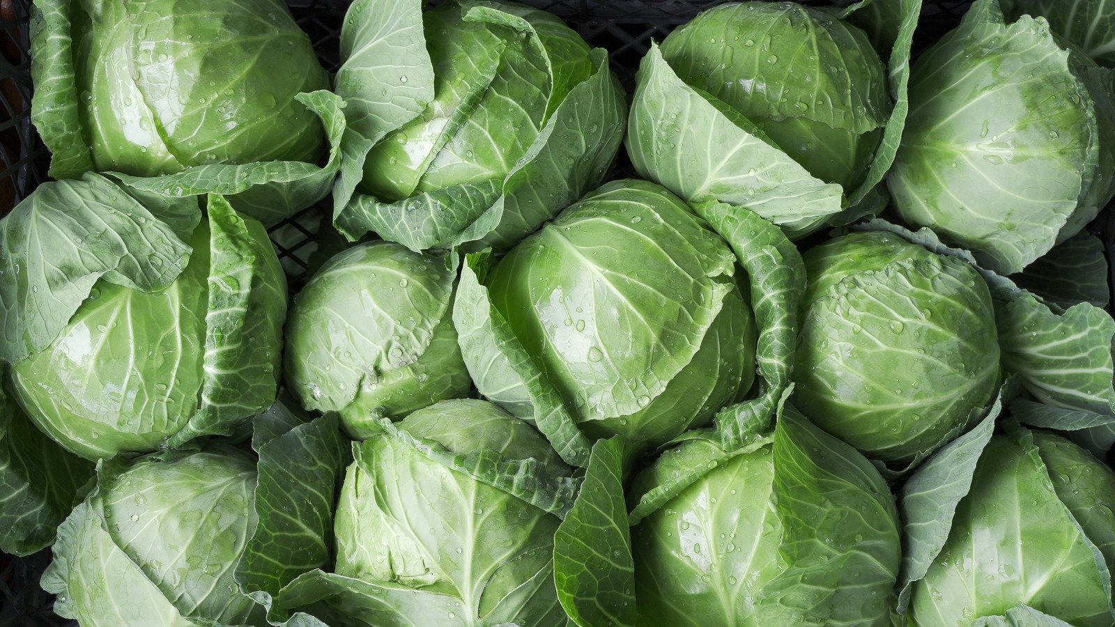 The Ingredient You Need To Add A Nice Kick To Bland Cabbage - The Daily Meal