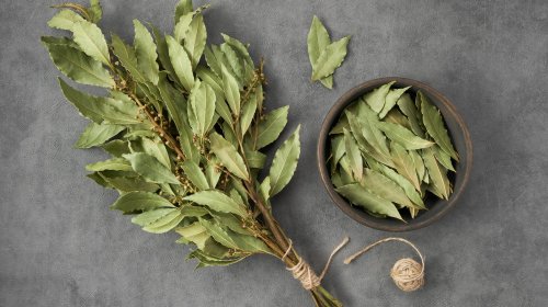 A Guide To Bay Leaves And How To Use Them