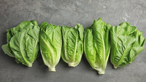Why Romaine Is The Absolute Best Type Of Lettuce For Charring