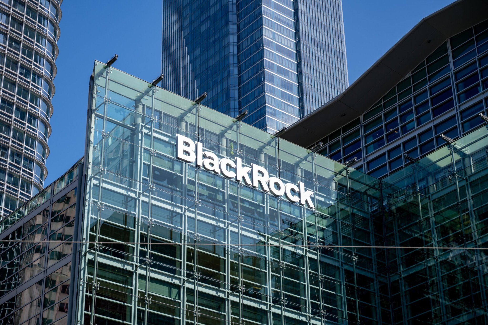 BlackRock’s New ETF Goes Long on Emerging Market Bonds. Not Everyone Agrees