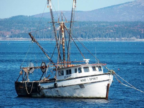 As Fish Stocks Continue to Be Depleted, What is the Future of Fishing? AI and smart boats will create a sustainable future for fishing, but only if we update a tired and wasteful industry.