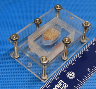 NASA Awards Prize for Lab-Grown Tissue Made with 3D Printing Technology
