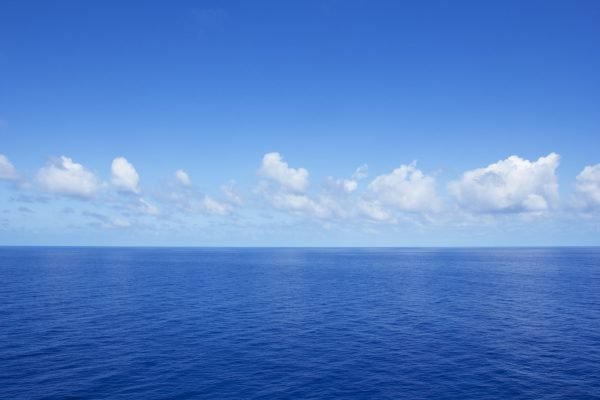 Environment