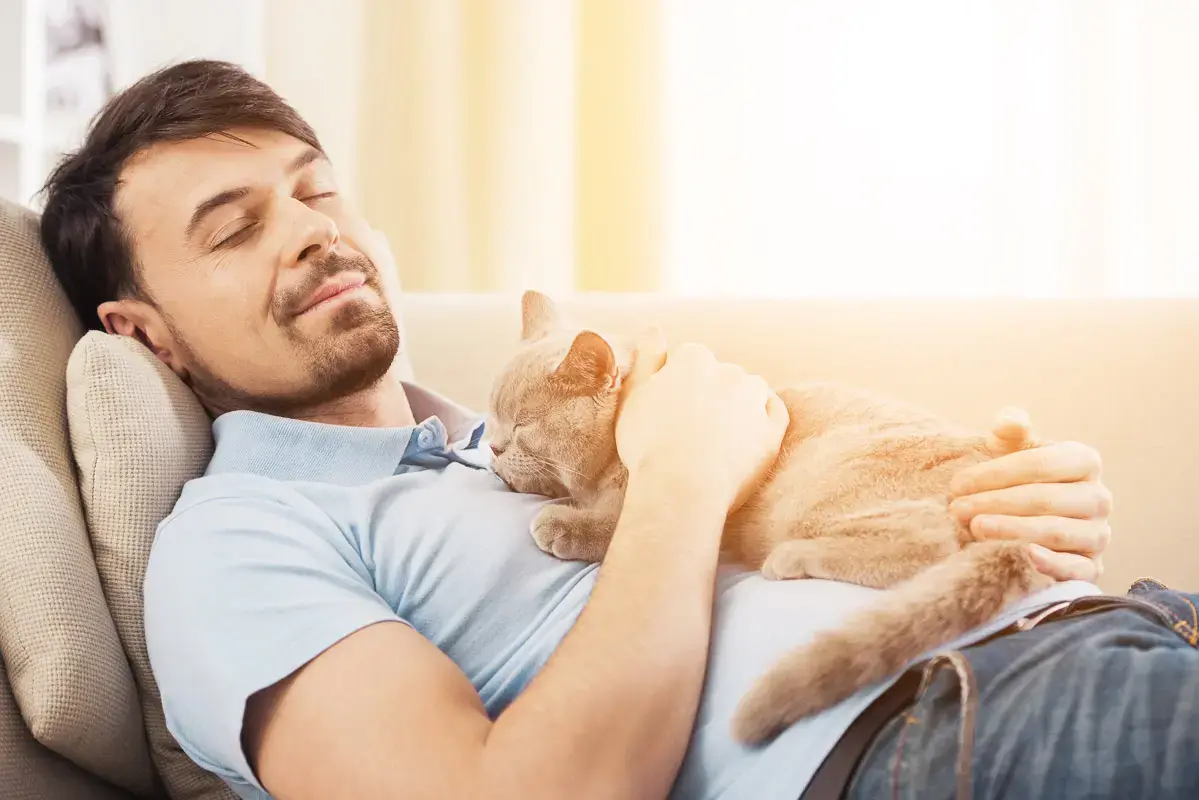 4 Reasons Your Cat Insists on Sleeping With You + More Odd Cat Stuff
