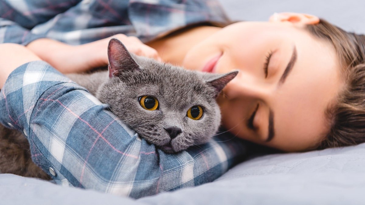 Why Does My Cat Sleep with Me? (2022) 4 Reasons You Should Know