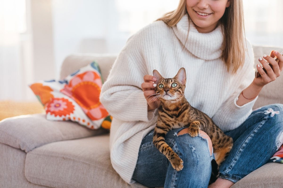 How Long Do Cats Live? 7 Factors Cat Owners Need to Know