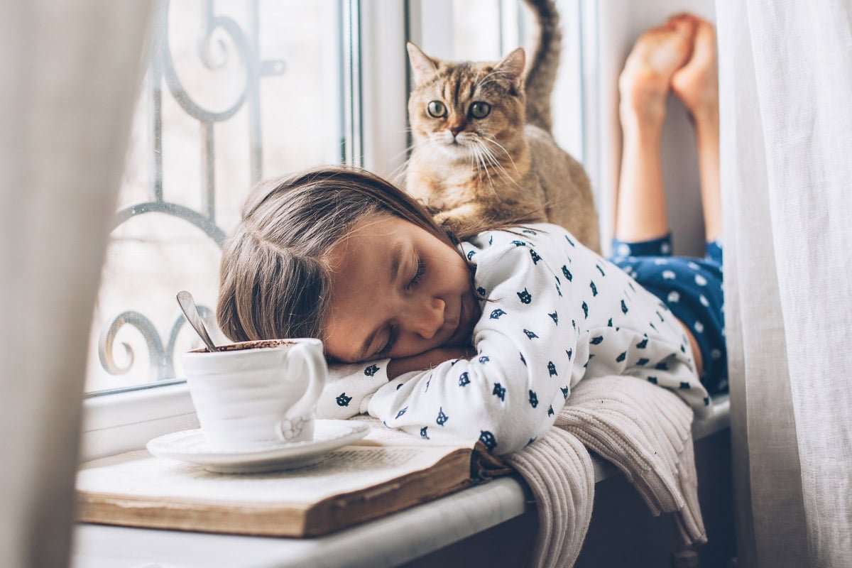 Why Does My Cat Follow Me Everywhere? (2022) 13 Top Reasons Why
