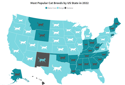 103 Latest Cat Statistics (2022) Cat Ownership, Breeds and More