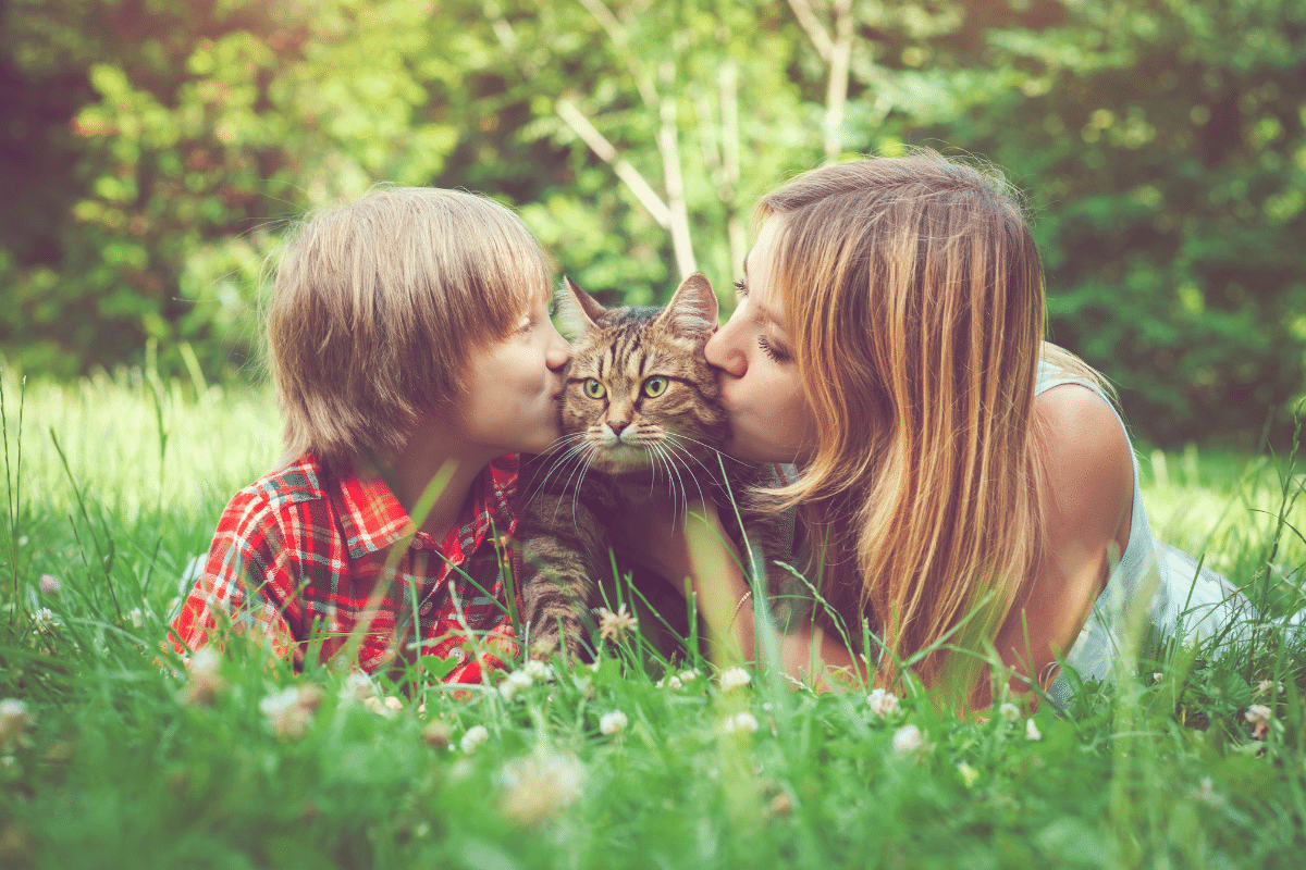 17 Best Family Cat Breeds (2023) You’ll All Love