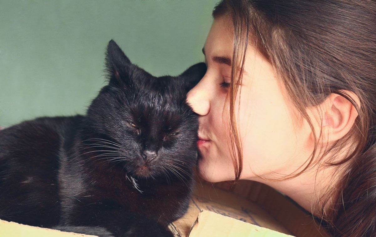 13 Best Girl Cat Names You’ll Adore