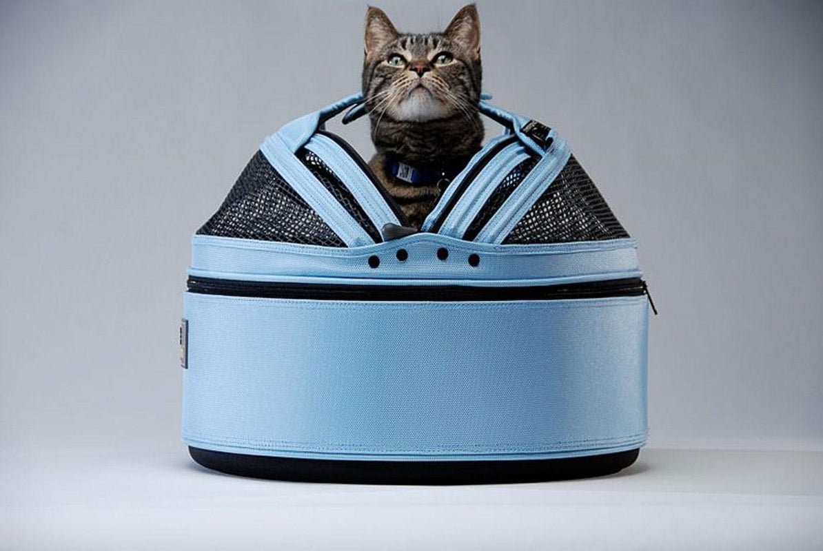 5 Best Carrier for Cats You and Your Cat Will Love (2022)