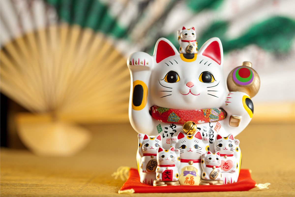 13 Japanese Cat Names Inspired by Coloring, Anime and More