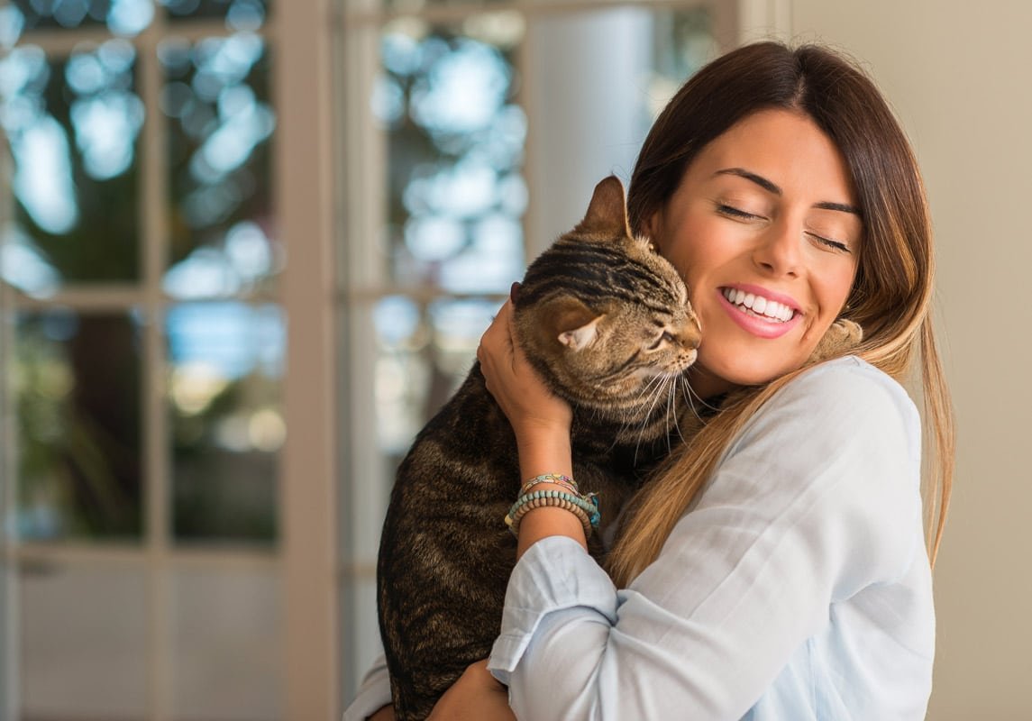 Why does my Cat Headbutt Me? And other cat behaviours explained