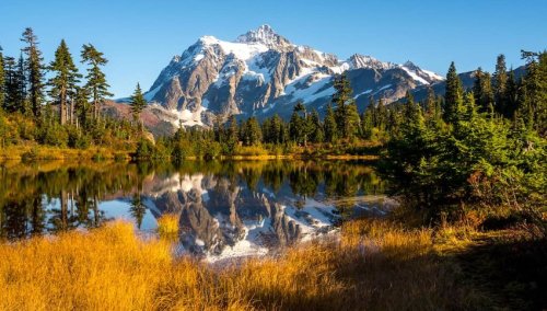 5 Breathtaking U.S. National Forests