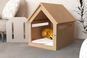 How to Build a DIY Indoor Dog House