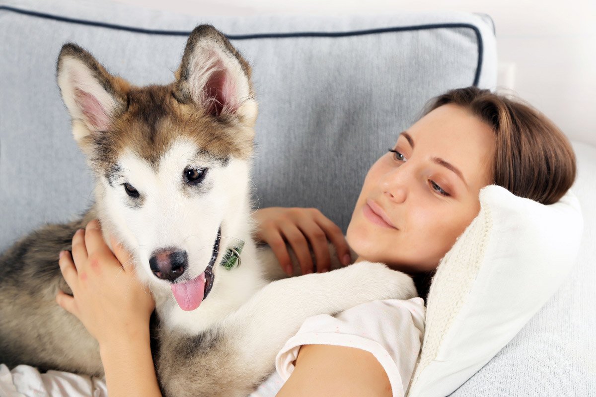 Why Does My Dog Lay On Me? | 7 Reasons