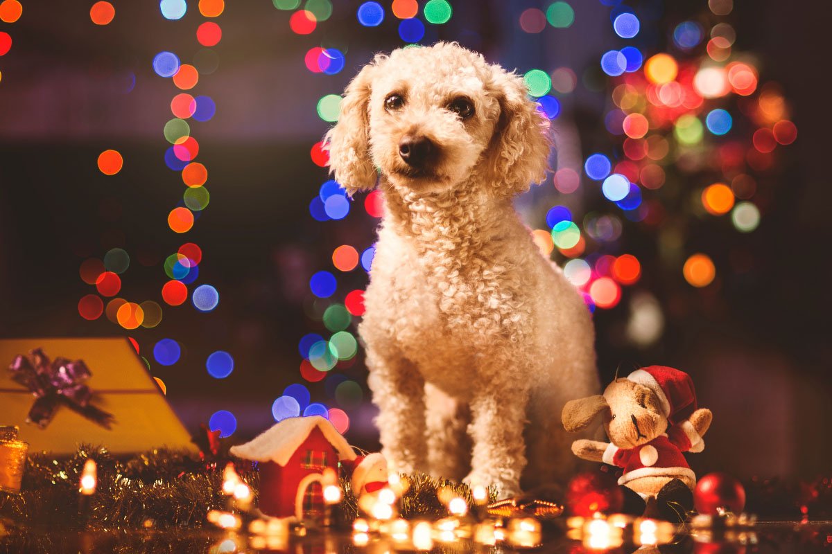 27 Dog Ornaments You’ll Love