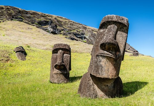 Wild grape vines of Easter Island identified - The Drinks Business