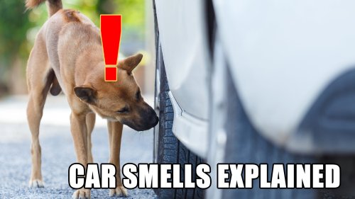 why-does-my-car-smell-funny-let-s-explore-flipboard