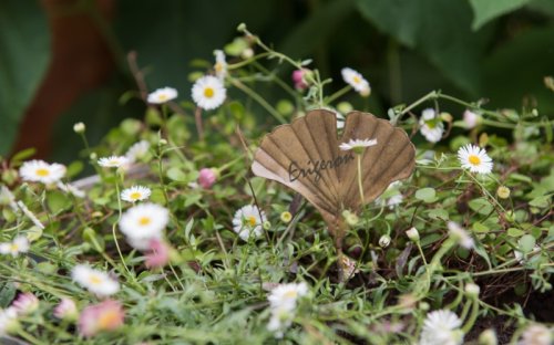 10 of the best plant labels to keep track of what you're growing