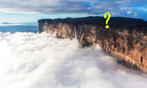 The Lost World: This Cloud-Shrouded Oldest Mountain in the World Has Wildlife You Can Only Find Here