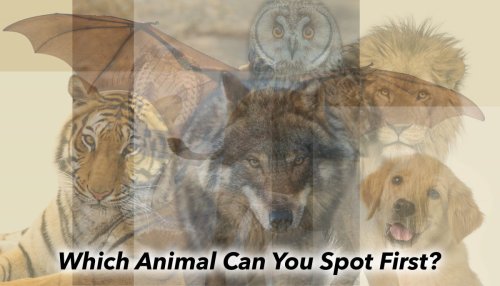 The first animal you see in this psychology illusion reveals your true innermost self