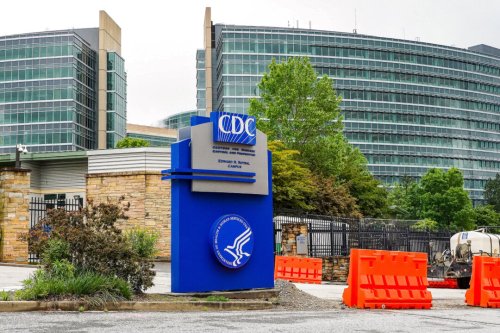 CDC Sends New ‘Health Alert’ Over Bird Flu in the US