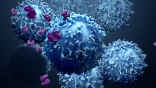 Did Scientists Stumble Upon a Universal Cancer Treatment Innate to the Human Body?