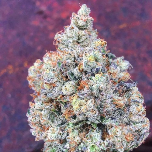 Mac1 Weed Strain | Weed For Sale Online | Exotic Weed For Sale
