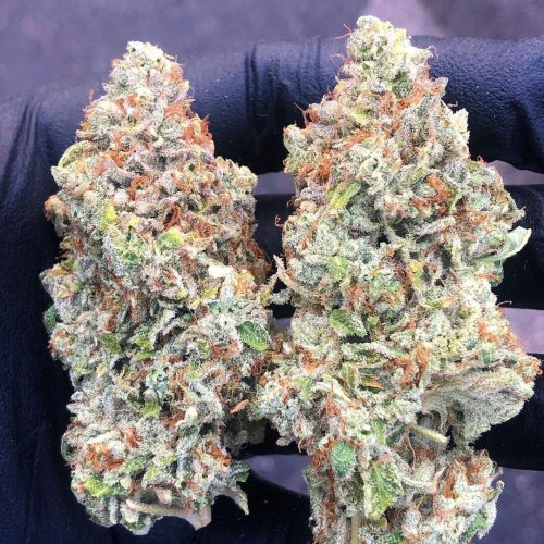 White Runtz Strain For Sale | Weed For Sale Online | Order Weed Online
